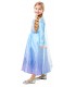 Costum Elsa Frozen 2 Deluxe, L