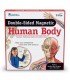 Corpul uman - set magnetic