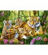 Puzzle Familie De Tigri, 500 Piese