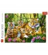 Puzzle Familie De Tigri, 500 Piese
