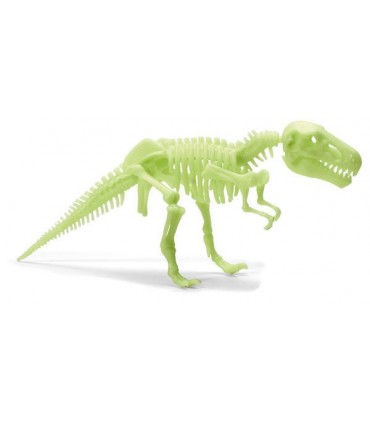 Schelet T-Rex reflectorizant