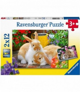 Puzzle Porcusor De Guinea Si Iepuras, 2x12 Piese