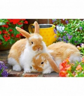 Puzzle Porcusor De Guinea Si Iepuras, 2x12 Piese