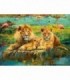 Puzzle Familie De Lei, 500 Piese