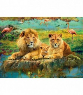Puzzle Familie De Lei, 500 Piese