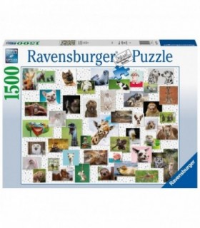 Puzzle Colaj Cu Animale, 1500 Piese