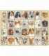 Puzzle Portrete De Caini, 500 Piese
