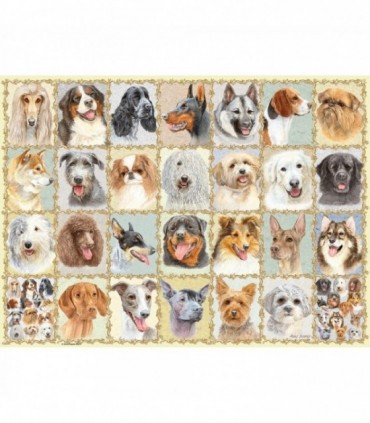 Puzzle Portrete De Caini, 500 Piese