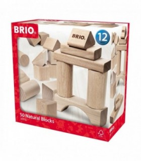 Set Blocuri Din Lemn, 50 Piese