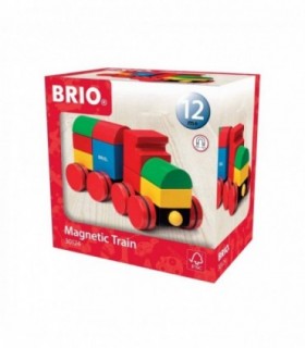 Tren Magnetic