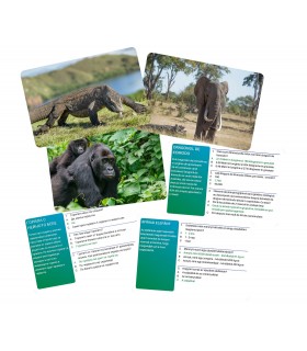 Joc Interactiv Lumea Animalelor In Limba Romana