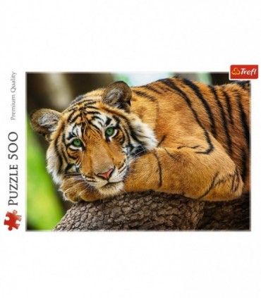 Puzzle Portretul Tigrului, 500 Piese