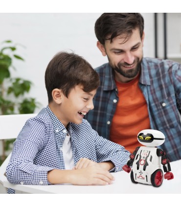 Robot Electronic Maze Breaker