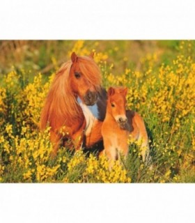 Puzzle Ponei, 100 Piese