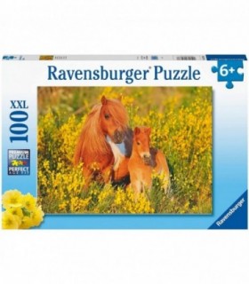 Puzzle Ponei, 100 Piese