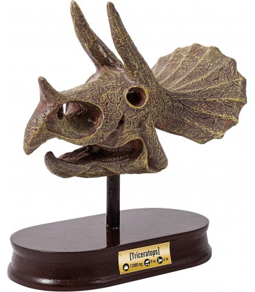 Kit De Sapat - Craniu Triceratops