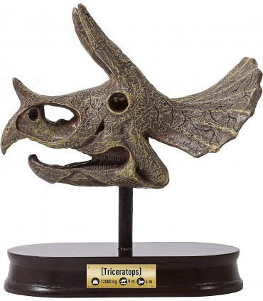Kit De Sapat - Craniu Triceratops