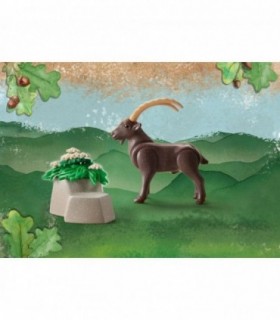 Capricorn