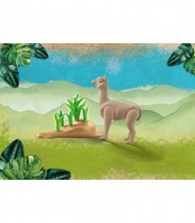 Alpaca