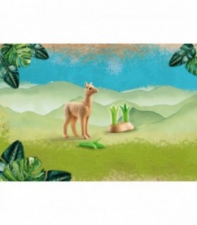Pui De Alpaca