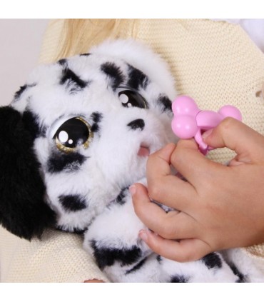 Baby Paws - Dalmatian