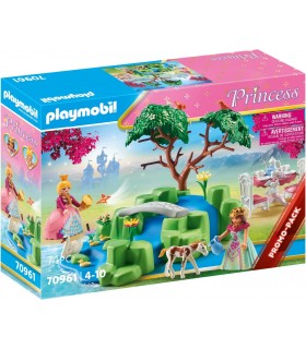 Picnicul Printeselor