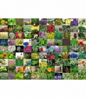 Puzzle 99 De Plante Si Condimente, 1000 Piese