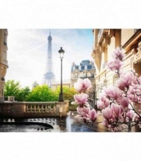 Puzzle Primavara In Paris, 500 Piese
