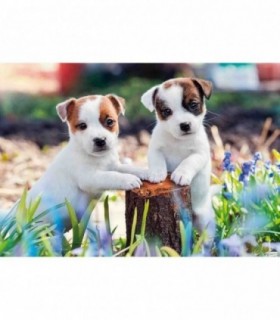 Puzzle Catelusi, 2X12 Piese