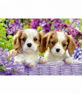 Puzzle Catelusi, 2X24 Piese