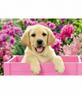 Puzzle Catelusi, 2X24 Piese