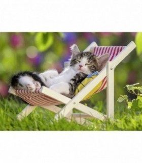 Puzzle Pisicute Somnoroase, 2X24 Piese