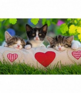 Puzzle Pisicute Somnoroase, 2X24 Piese