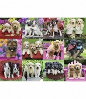 Puzzle Catelusi, 500 Piese