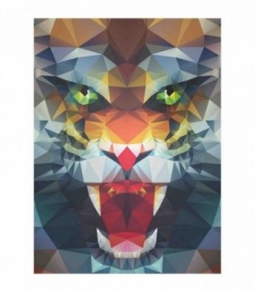 Puzzle Tigru Poli, 500 Piese