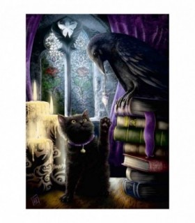 Puzzle Pisica Neagra Si Corb, 500 Piese