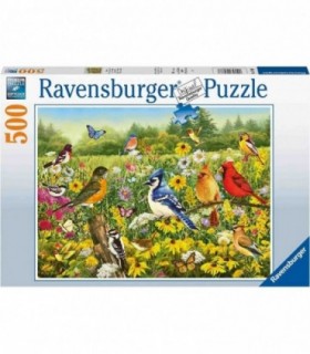 Puzzle Pasarele Colorate, 500 Piese