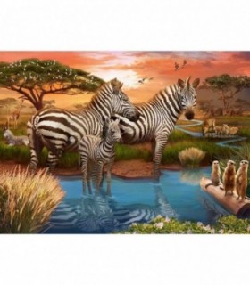 Puzzle Zebre La Apa, 500 Piese