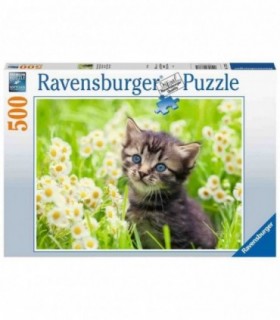 Puzzle Pisicuta Pe Camp, 500 Piese