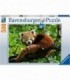 Puzzle Panda Rosu, 500 Piese