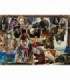 Puzzle Harry Potter Vs Voldemort, 1000 Piese