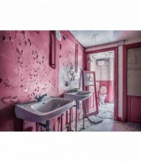 Puzzle Baie Roz Parasita, 1000 Piese