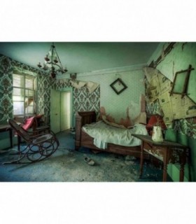 Puzzle Camera Parasita, 1000 Piese
