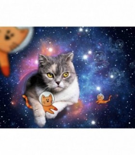 Puzzle Pisicute In Spatiu, 1500 Piese