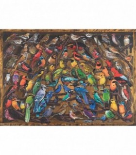 Puzzle Curcubeu De Pasari, 1000 Piese
