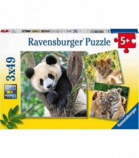Puzzle Panda, Leu Si Tigru, 3X49 Piese