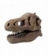 Kit De Sapat - Craniu T-Rex