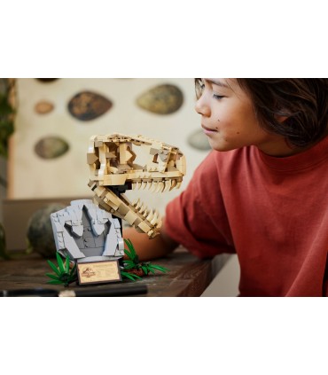 Fosile De Dinozaur: Craniu De T.Rex