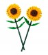 Floarea Soarelui