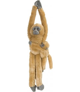 Maimuta Care Se Agata - Langur Cu Pui
